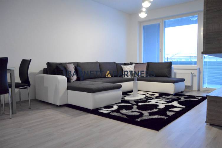 CITY HOUSE RUZINOV PROJECT | FOR RENT